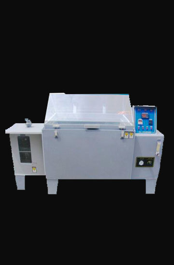 team member portrait